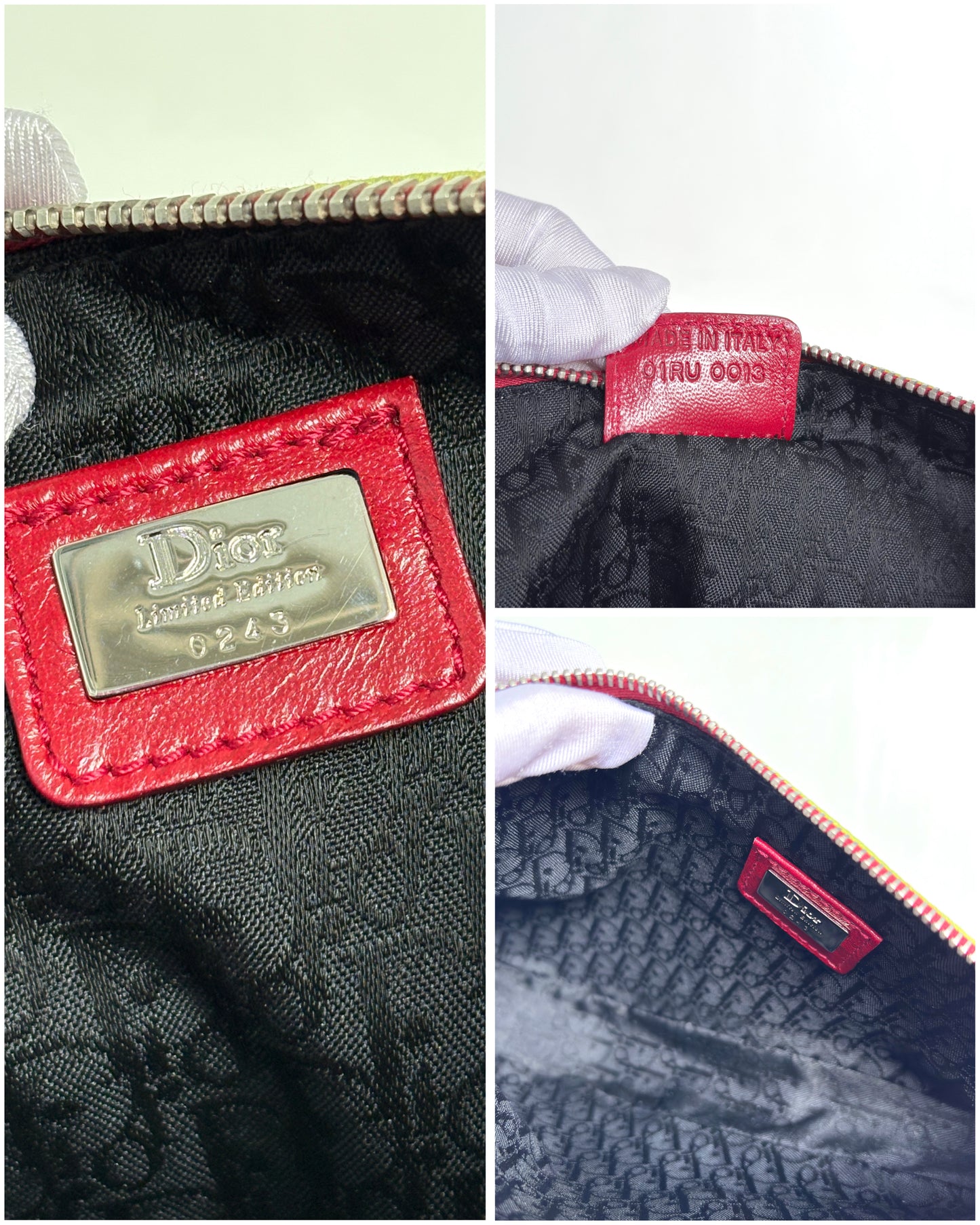 Available | Christian Dior Victim Mini Saddle Bag