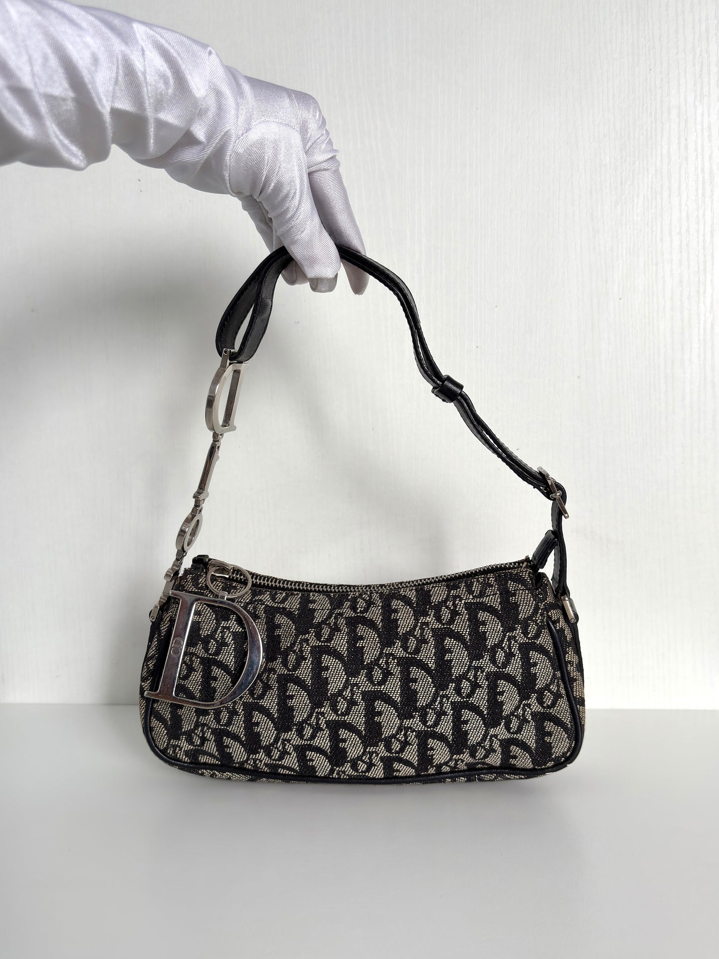 Available | Christian Dior Trotter Spellout Pochette