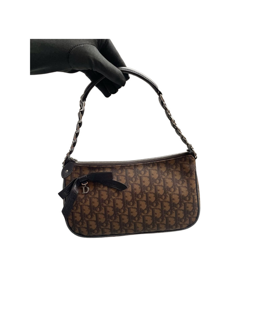 Christian Dior Romantique Trotter Shoulder Brown Bag