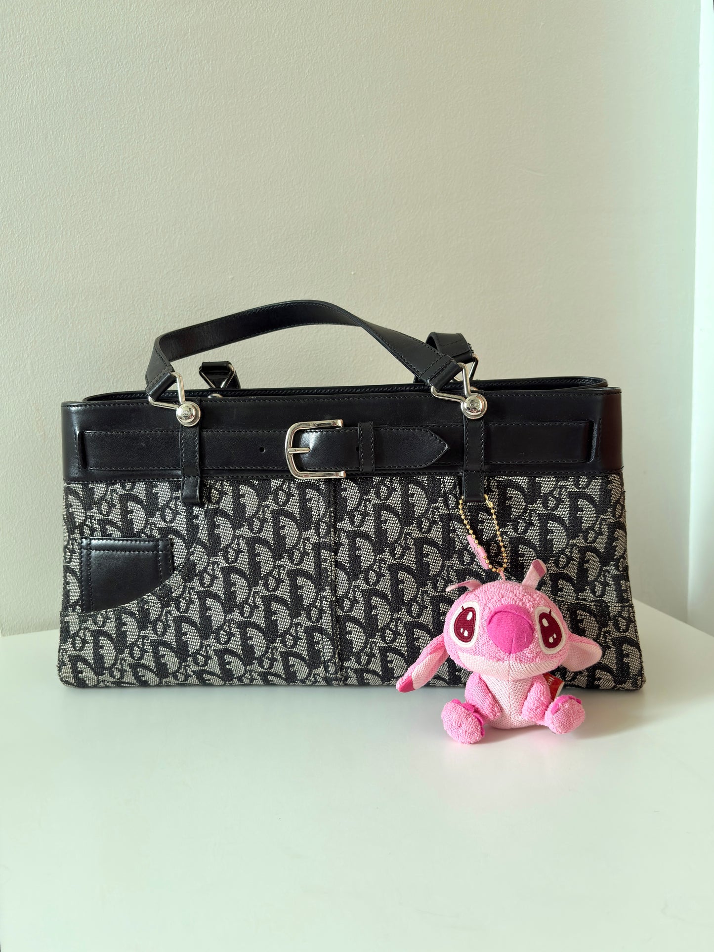 Dior Trotter Canvas Tote Handbag
