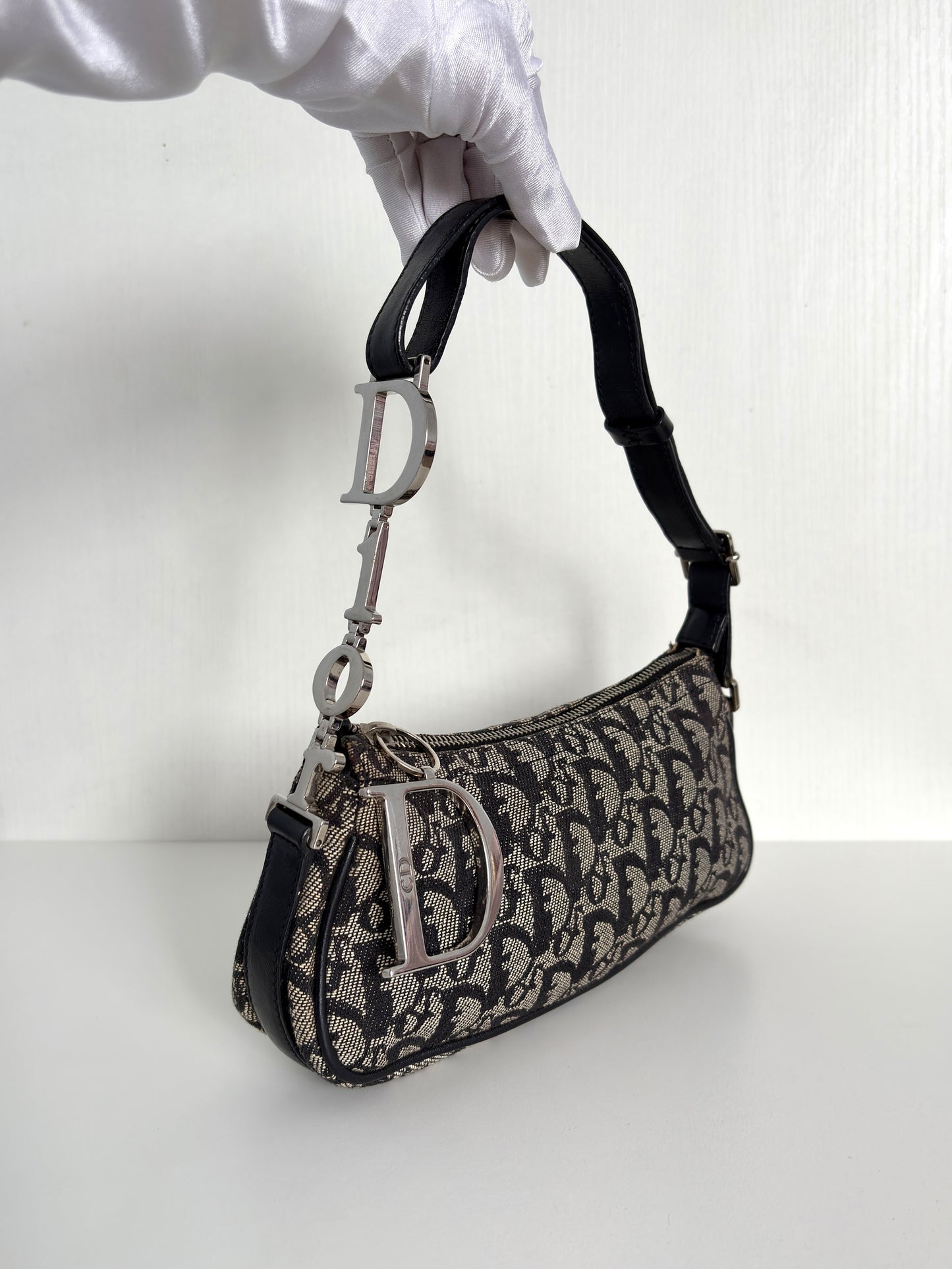 Available | Christian Dior Trotter Spellout Pochette
