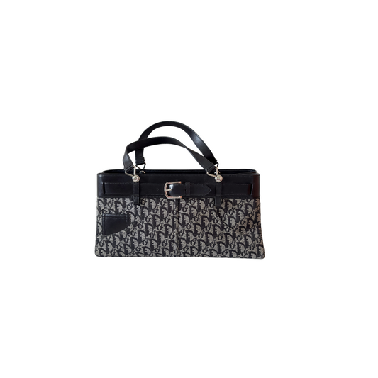 Dior Trotter Canvas Tote Handbag
